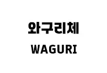 [그래픽] 와구리체